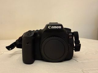 Canon EOS 90D + Tamron 150-600mm