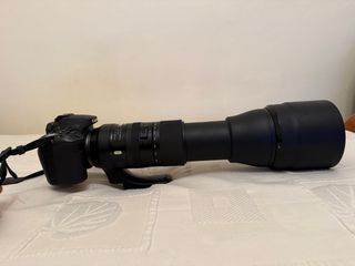 Canon EOS 90D + Tamron 150-600mm