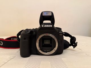 Canon EOS 90D + Tamron 150-600mm