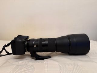 Canon EOS 90D + Tamron 150-600mm