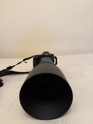 Canon EOS 90D + Tamron 150-600mm