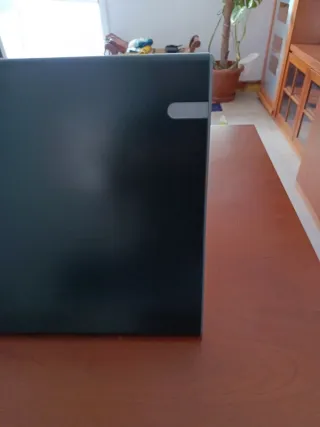 Calefactor de inducción con pantalla ÚLTIMO PRECIO