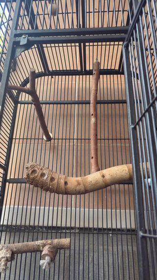 Jaula para pájaros grande