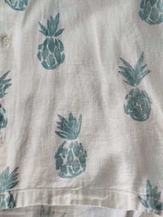 Camisa niño piñas manga corta T.9-10