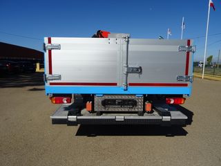 Man TGM 15 290 - GRUA
