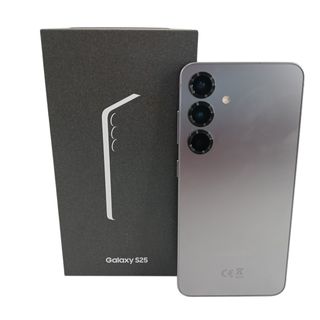 Samsung Galaxy S25 Plata