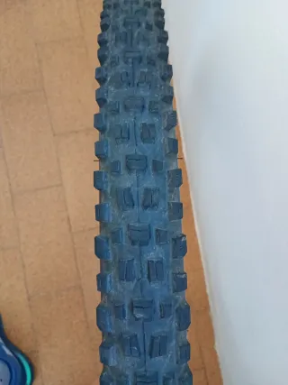 Cubierta Maxxis Assegai 29x2.60 EXO TR