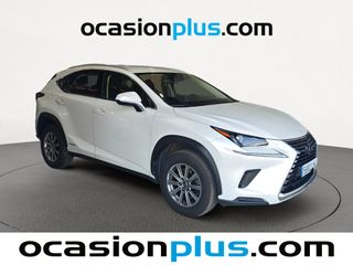 Lexus NX 300h Business 2WD 145 kW (197 CV)