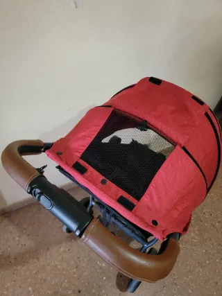 Carrito de bebé y niño