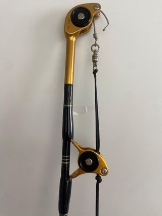 Carrete Shimano Tiagra 50 y caña de pesca.