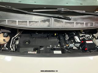 GRAN CAPACIDAD, PEUGEOT EXPERT 