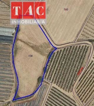 Terreno en venta en Lepe ciudad en Lepe