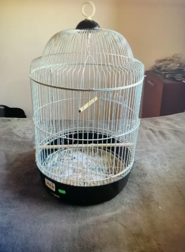 Jaula para pájaros plateada y negra cada una en 20