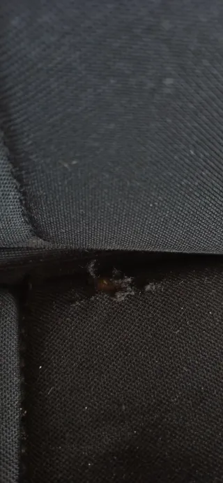 Silla coche Britax Römer Kidfix II XP SICT