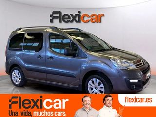Citroën Berlingo Talla XL PureTech 110 S&S FEEL