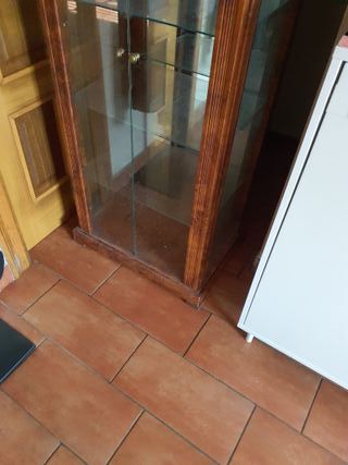 Vitrina de madera y cristal con luz