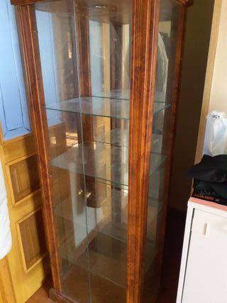 Vitrina de madera y cristal con luz