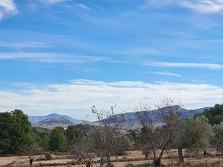Terreno en venta en Monóvar/Monòver