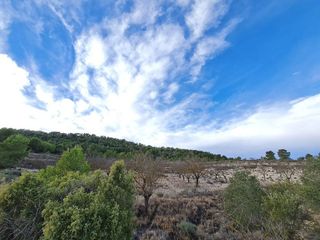 Terreno en venta en Monóvar/Monòver