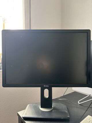 Monitor DELL P2213t Plano Panel