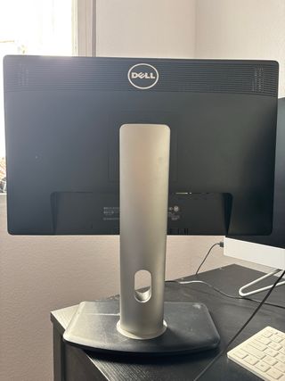Monitor DELL P2213t Plano Panel