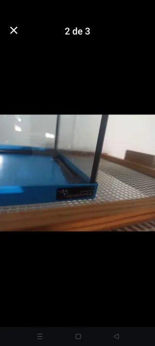 Acuario pecera azul