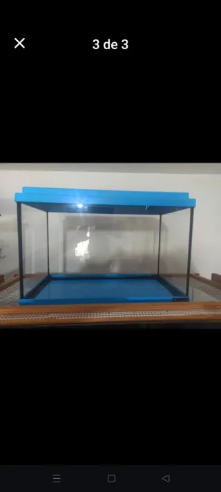 Acuario pecera azul