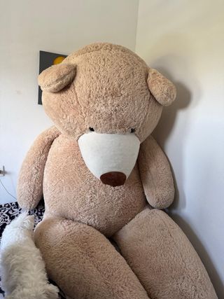 Peluche Oso Gigante Beige