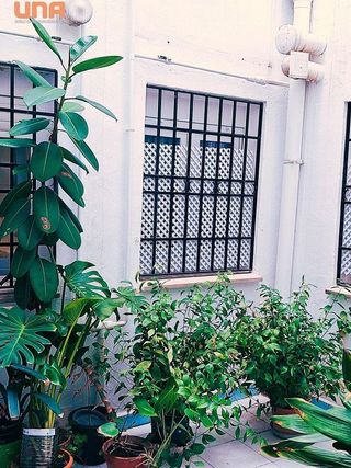Piso en alquiler en Casco Histórico  - Ribera - San Basilio en Córdoba
