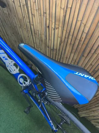 Bicicleta de carretera Giant TCR Azul