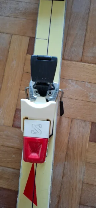 Esquís Rossignol Delta 650 con Fijaciones Salomon