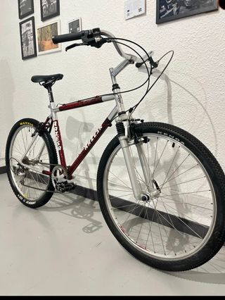 Bicicleta de montaña clásica Razesa