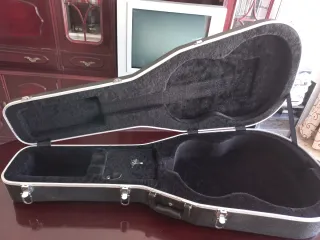 Guitarra Flamenca Amplificada