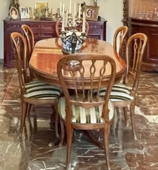 Mesa comedor y 6 sillas