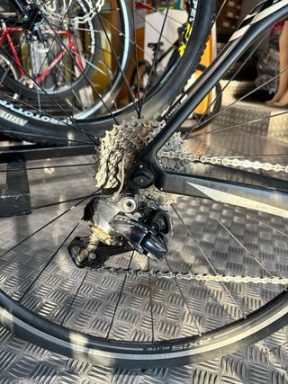 Specialized Roubaix Talla 49