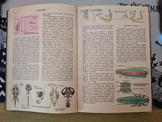 Libro volumen 3 ciencias naturales