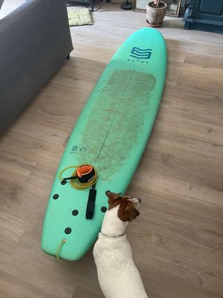 Tabla Surf Flowt 8'0 Standard Softbord