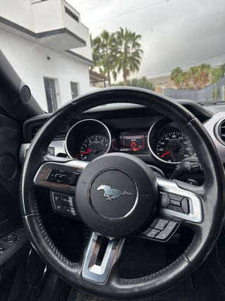 Ford Ford Mustang GT 5.0 V8 Shelby Package (2021) – 465 CV Ford Mustang GT 5.0 V8 Shelby Package  465 CV