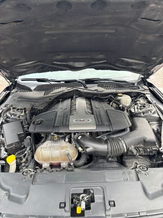 Ford Ford Mustang GT 5.0 V8 Shelby Package (2021) – 465 CV Ford Mustang GT 5.0 V8 Shelby Package  465 CV