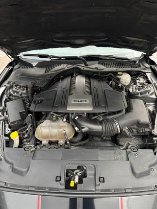 Ford Ford Mustang GT 5.0 V8 Shelby Package (2021) – 465 CV Ford Mustang GT 5.0 V8 Shelby Package  465 CV