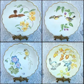 Set 6 Piatti Royal Worcester, dipinti a mano