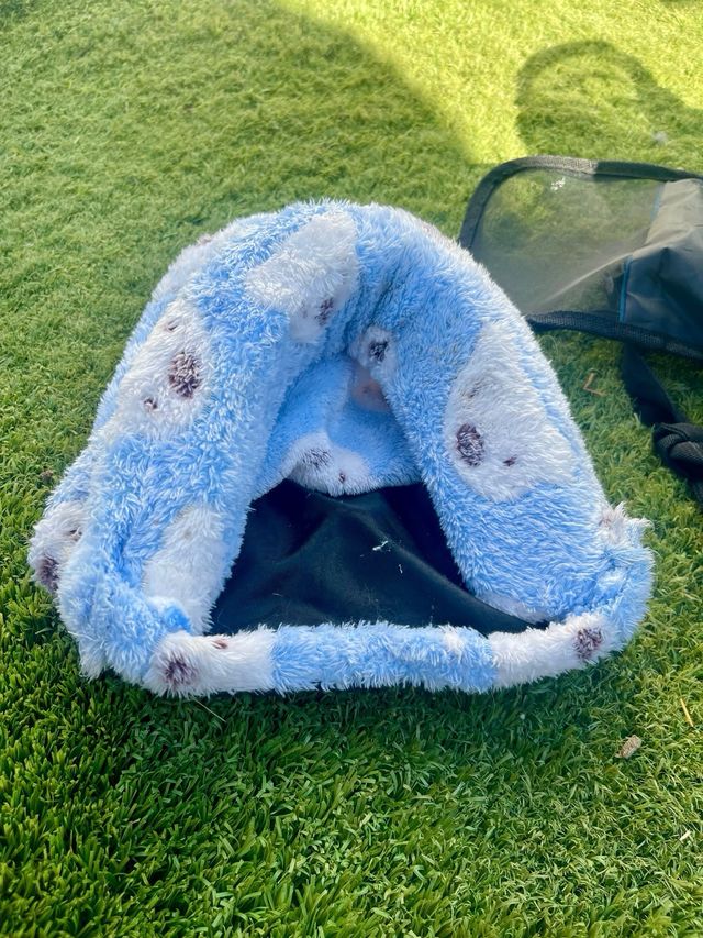 Transportín para conejo con cama