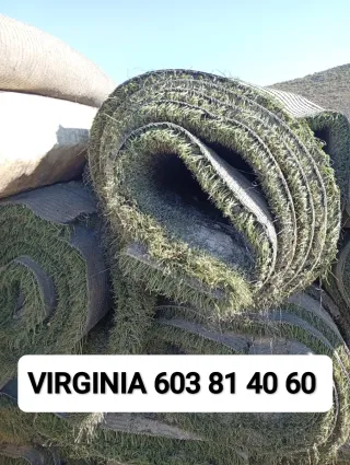 Venta de césped