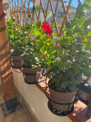 Porta vasi in metallo nero