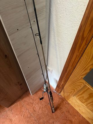 Caña y carrete Daiwa pesca spinning 7-21g