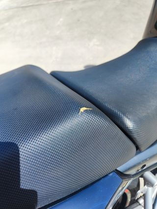 Suzuki Bandit GSF650 2007 LIMITADA A2