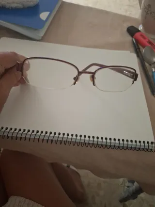 Montura gafas FI 1324 BORD 52-18 137