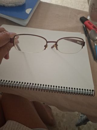 Montura gafas FI 1324 BORD 52-18 137