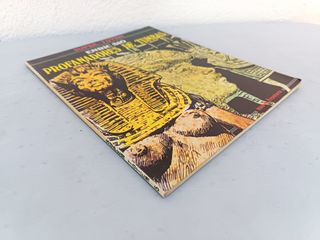 PROFANADORES DE TUMBAS - ENRIC SIÓ (SUPER-TOTEM /