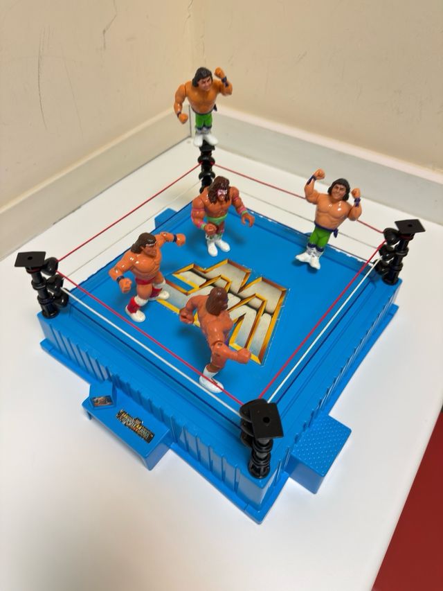 Ring WWF Figuras Luchadores